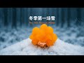 森林寻蘑28 - 微距摄影 | 第一场雪 Mushroom Hunting in the Forest 28 - Macro Photography | The First Snowfall