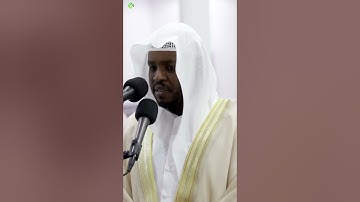 ﴿وَما خَلَقنَا السَّماءَ وَالأَرضَ وَما بَينَهُما لاعِبينَ﴾ تلاوة خاشعة بصوت الشيخ : مختار الحاج