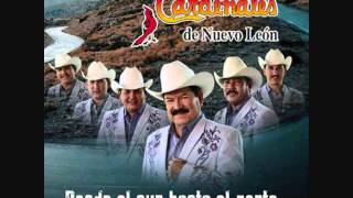 Video-Miniaturansicht von „Los Cardenales de Nuevo Leon - Mis dos amores“