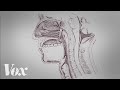 Understanding Taste and Smell Disorders