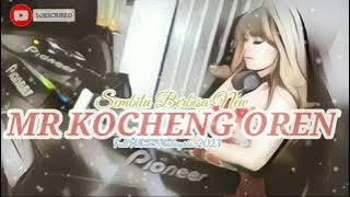 DUGEM NONSTOP SEMBILU BERBISA NEW FULL ALBUM REMIX 2023