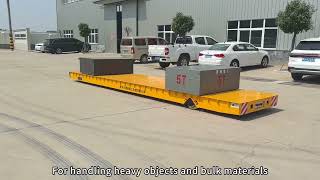 remote control omnidirectional transporter platform - 8T - LEINA