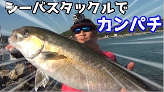 3は四国の安戸池の管理釣り場ソルトレイクひけたでショアジギングをしてきました Youtube