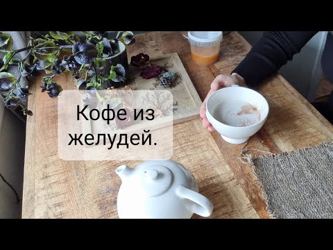 Кофе из желудей. Как готовить, полезные свойства. Сравниваю кэроб и желуди.