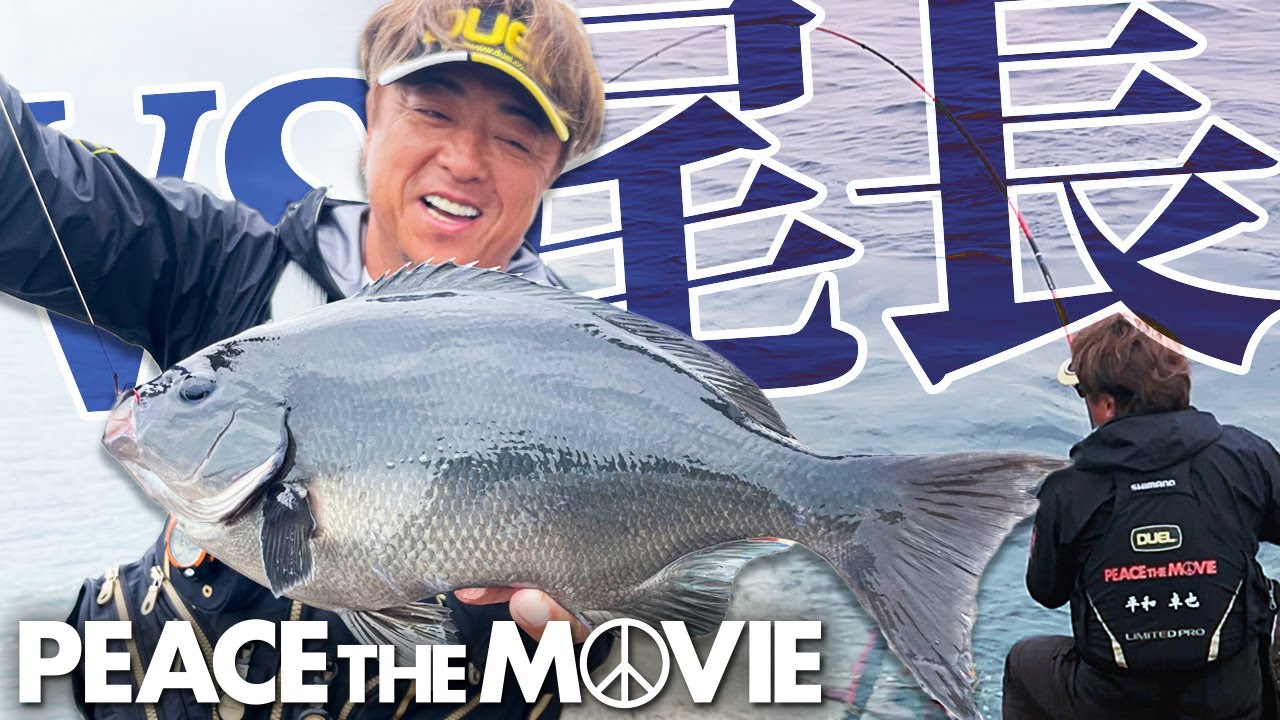 PEACE THE MOVIE #138「太地の春オナガは、日本一?カツオ島に再上陸だ!」近畿地方・和歌山県 太地の旅(後編)/平和卓也（1563）