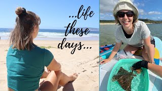 Life of a marine biologist | plans for 2024