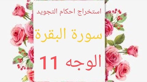 قرءاة الوجه ١١ من سورة البقرة مع إستخراج أحكام التجويد