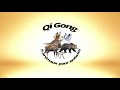 Qi gong des 5 animaux pour enfants par matre ke wen