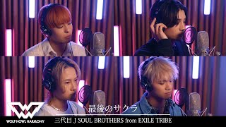 【WOLF VOICE #14】三代目J SOUL BROTHERS from EXILE TRIBE / 最後のサクラ by WOLF HOWL HARMONY