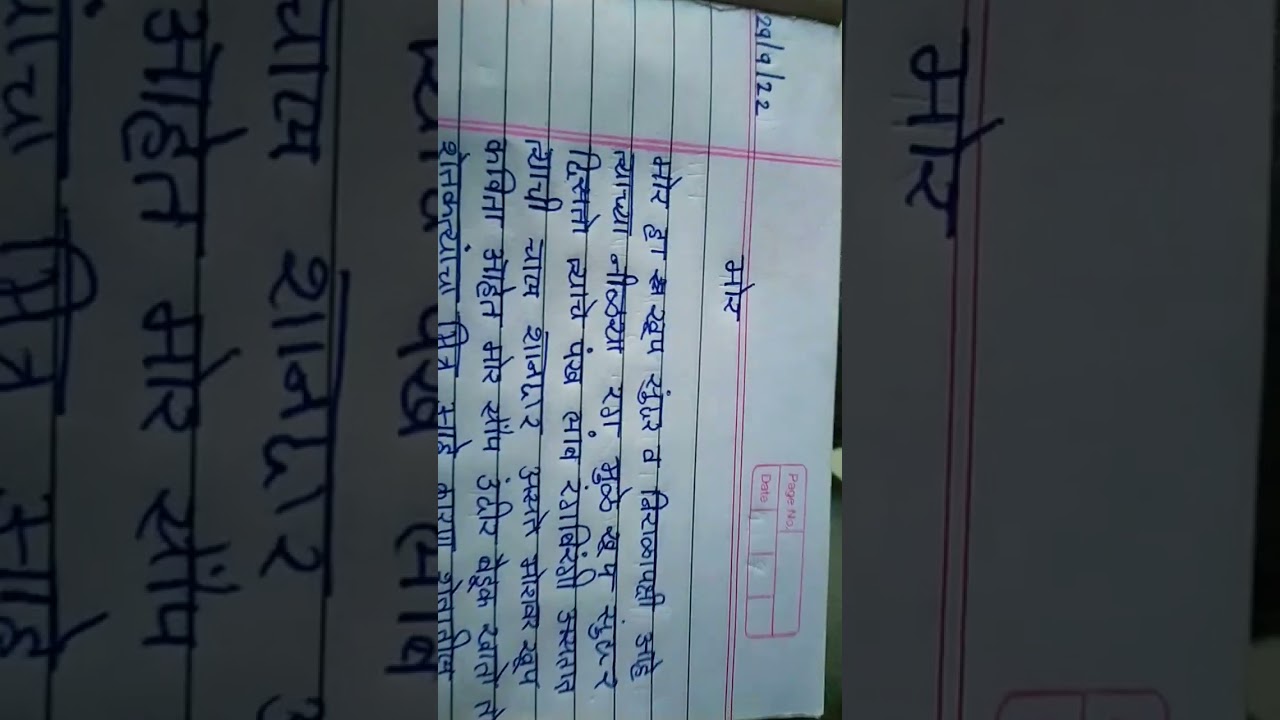 my school ke upar essay