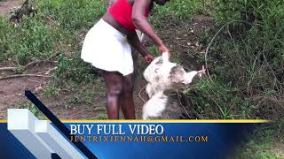 African Village Girl Slaughtered Chicken For Dinner