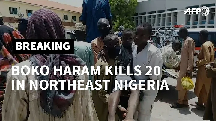 Jihadists kill 20 in northeast Nigeria attack | AFP