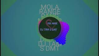 Mola Range Rang Me Bor Diye wo Holi festival Song Dj Mon2 Dmt X Dj Tam S Dmt