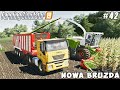 Harvesting corn & grass silage with  new forage harvester | Nowa Bruzda | FS 19 | Timelapse #42