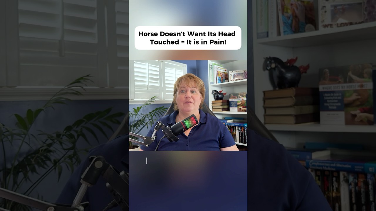 Why is My Horse Headshy?  #headshyhorse #atlasmisalignment #horsehealth