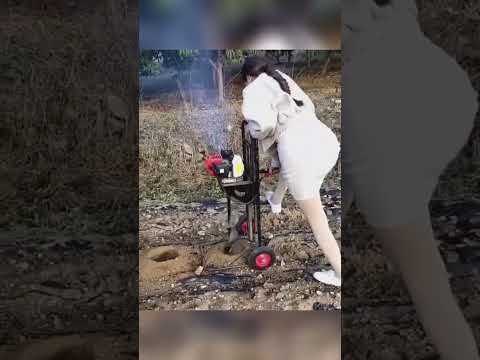 Auger