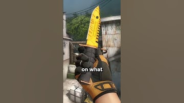 Rare & Expensive CS2 Skin Patterns #6: Agent Orange