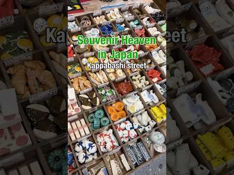 Souvenir Heaven In Japan