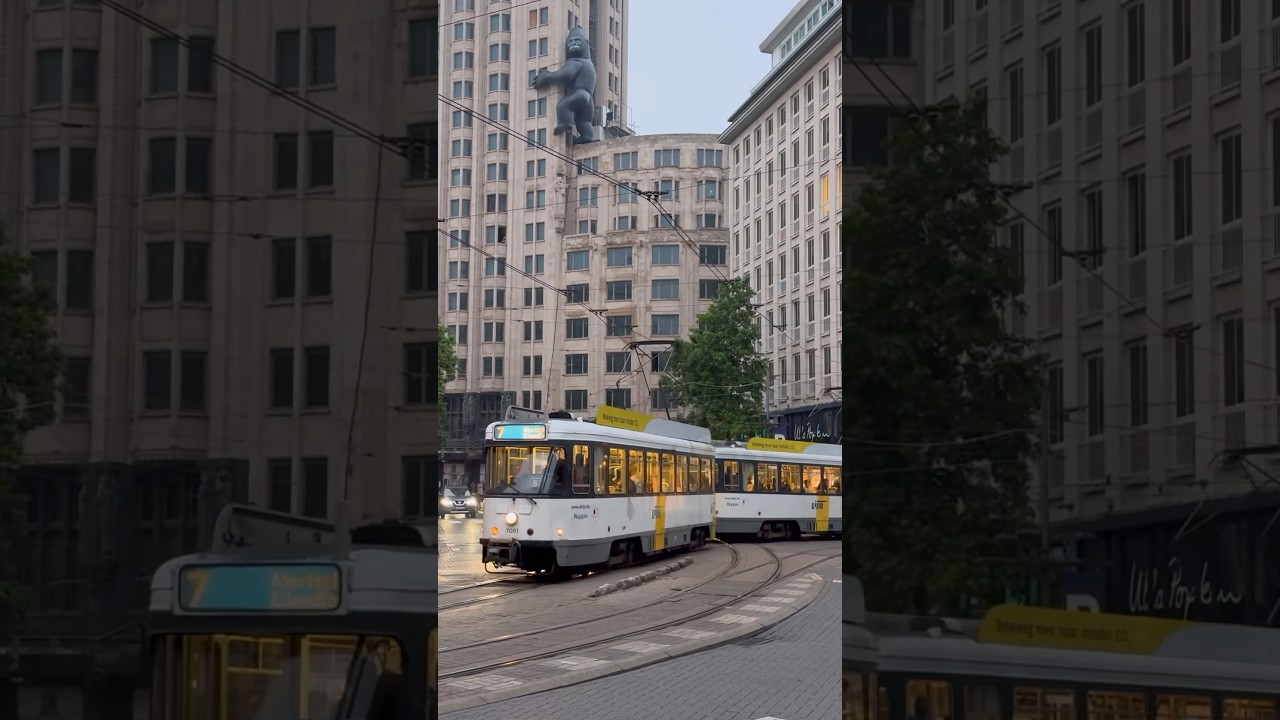 Classic BN PCC tram in Antwerp, Belgium 🇧🇪