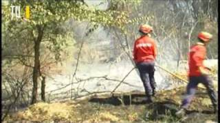 Pequenos incêndios em Santarém