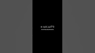 #سورة_الأعراف بصوت الشيخ #ياسر_الدوسري