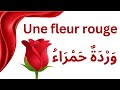 تعلم اللغة الفرنسية للمبتدئين | تعلم الألوان بالفرنسية | Apprendre les couleurs français arabe