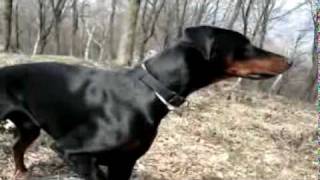 M4V04932.MP4