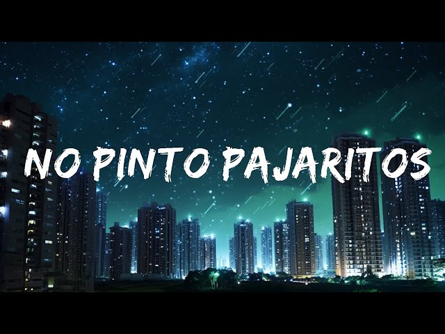 Andy Rivera - No Pinto Pajaritos | Top Best Song class=