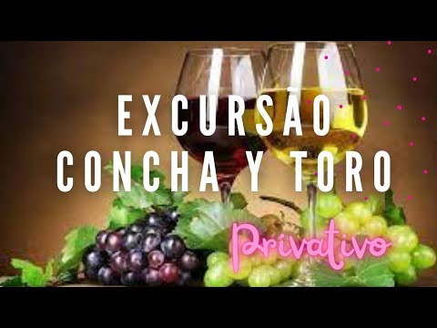 🎵🎵 Excursão Concha y Toro - Conheça a linda vinícola Concha y Toro -  Whatsapp + 56 9 6919 5247 🎵🎵