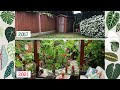 How I Transformed My Small UK Garden Into A Tropical Paradise 🌺🌴🌼🦋 2017-2021