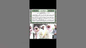 سورة الفيل للشيخ ياسر الدوسري