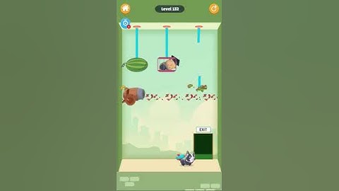 Rescue Kitten Level 132