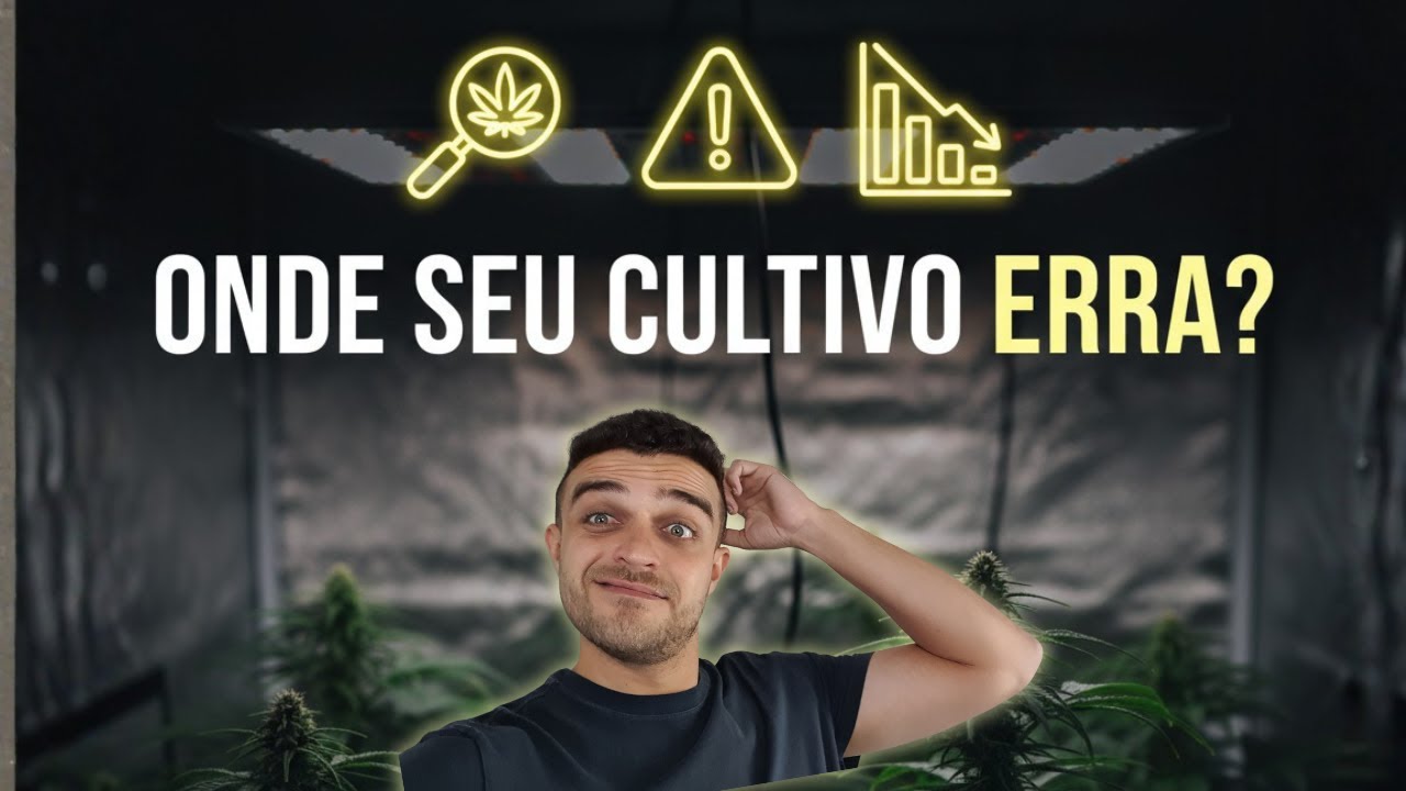 Consultoria de cultivo ao vivo