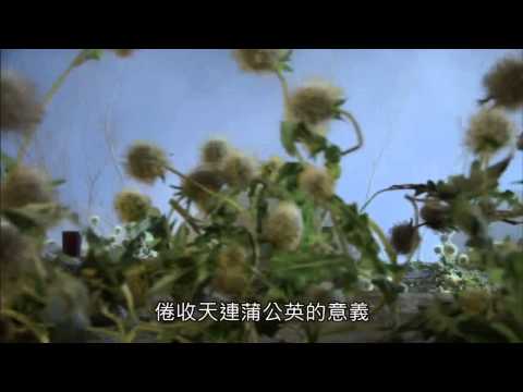 轟掣天下 大宗師 KO 醫天子