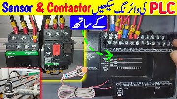 Complete PLC Wiring With Sensors/Contactor and Relay Step by Step | PLC Input Output Wiring