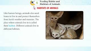 Details Knowledge Tree Books Science Class 3 Chapter 5 News