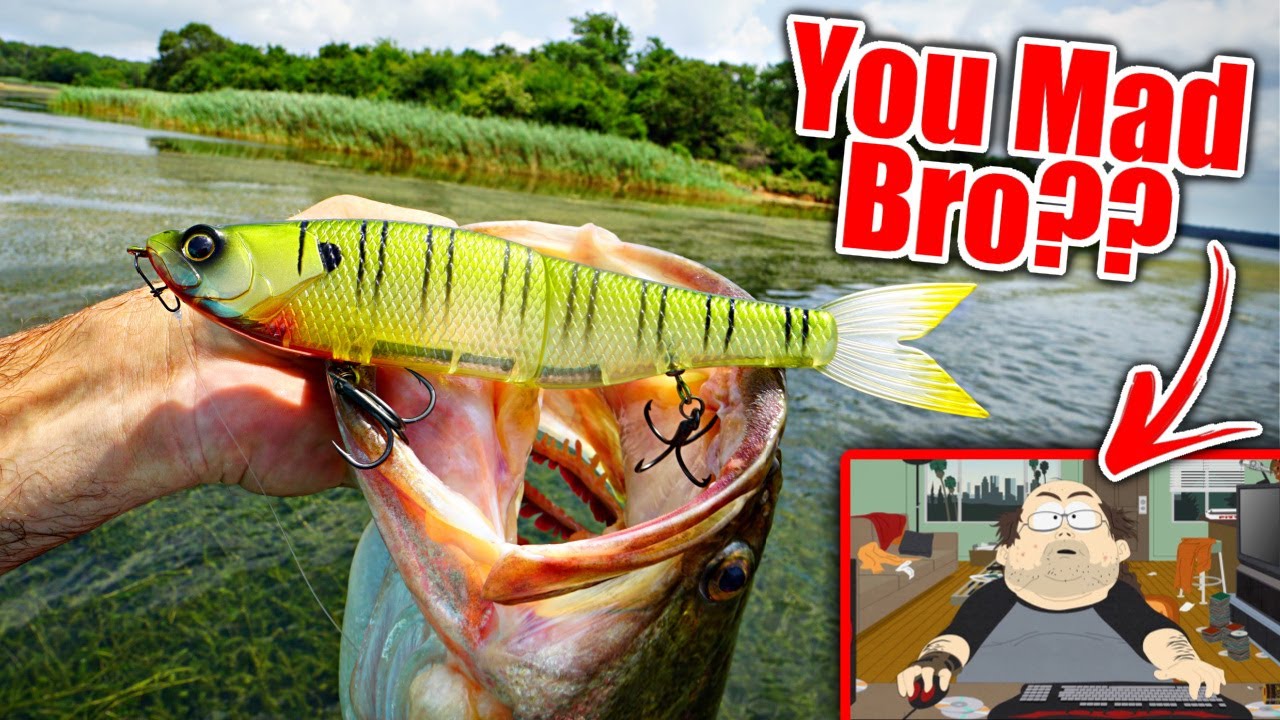 My Best Day EVER Summer Swimbait Fishing!! (My Haters are Crying)