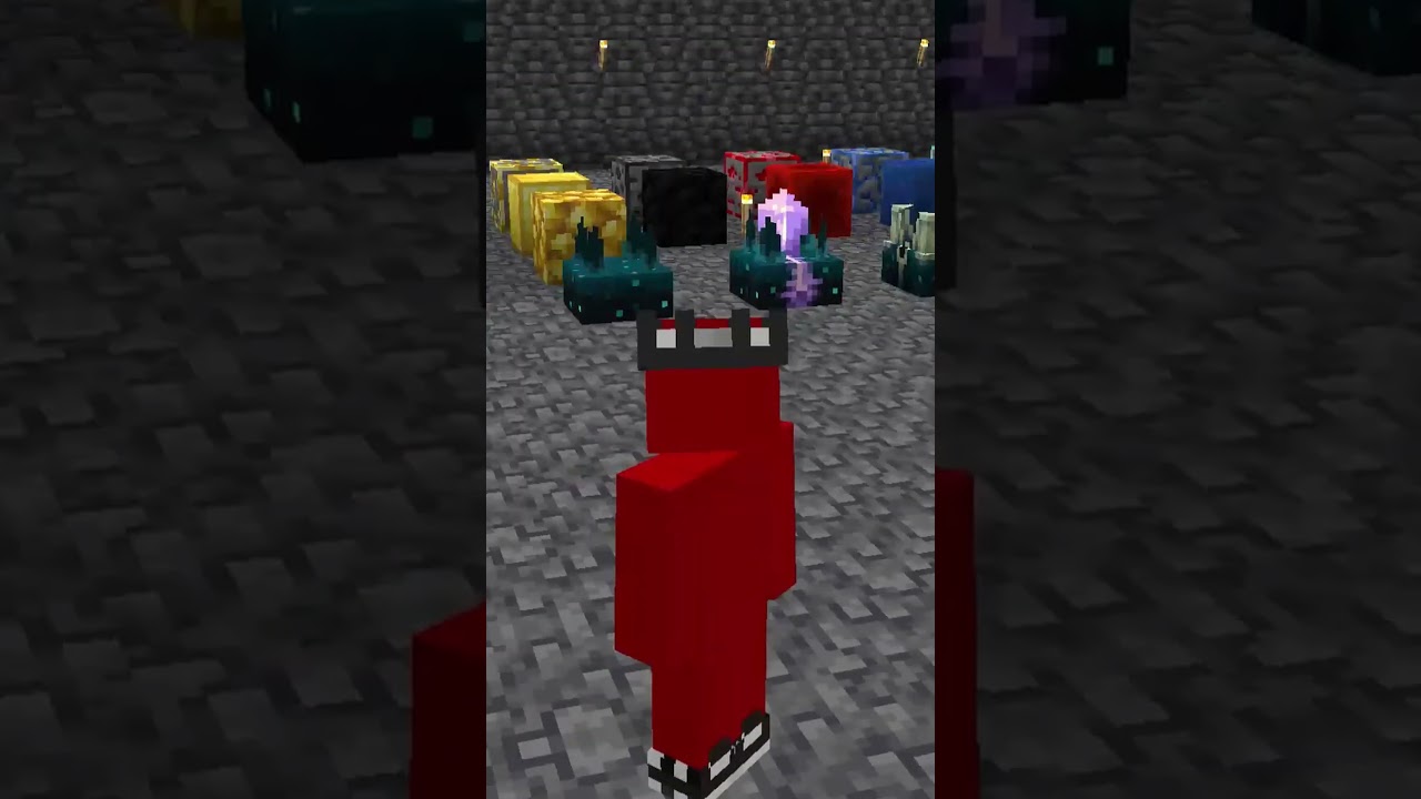 Doing Whatever My Subscribers Say...