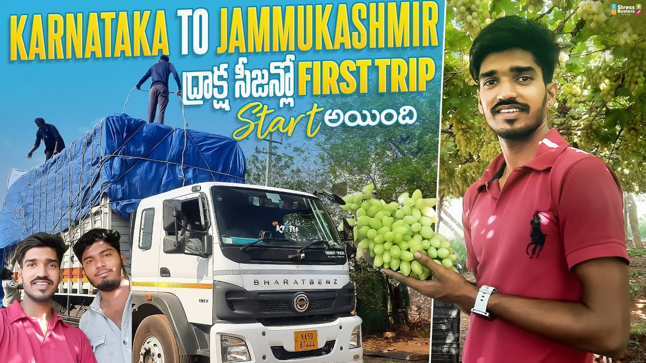 Karnataka to jammukashmir || Draksha season lo first trip start aindhi @csr truck vlogs