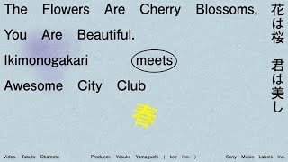 Awesome City Club - 花は桜 君は美し(short ver) | いきものがかり meets