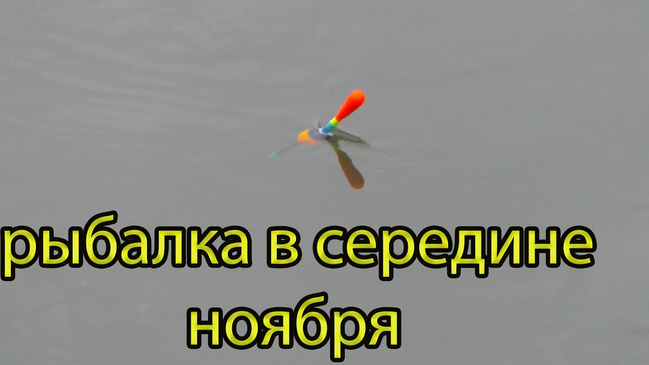 Рыбалка на поплавок в середине ноября на речке. - YouTube