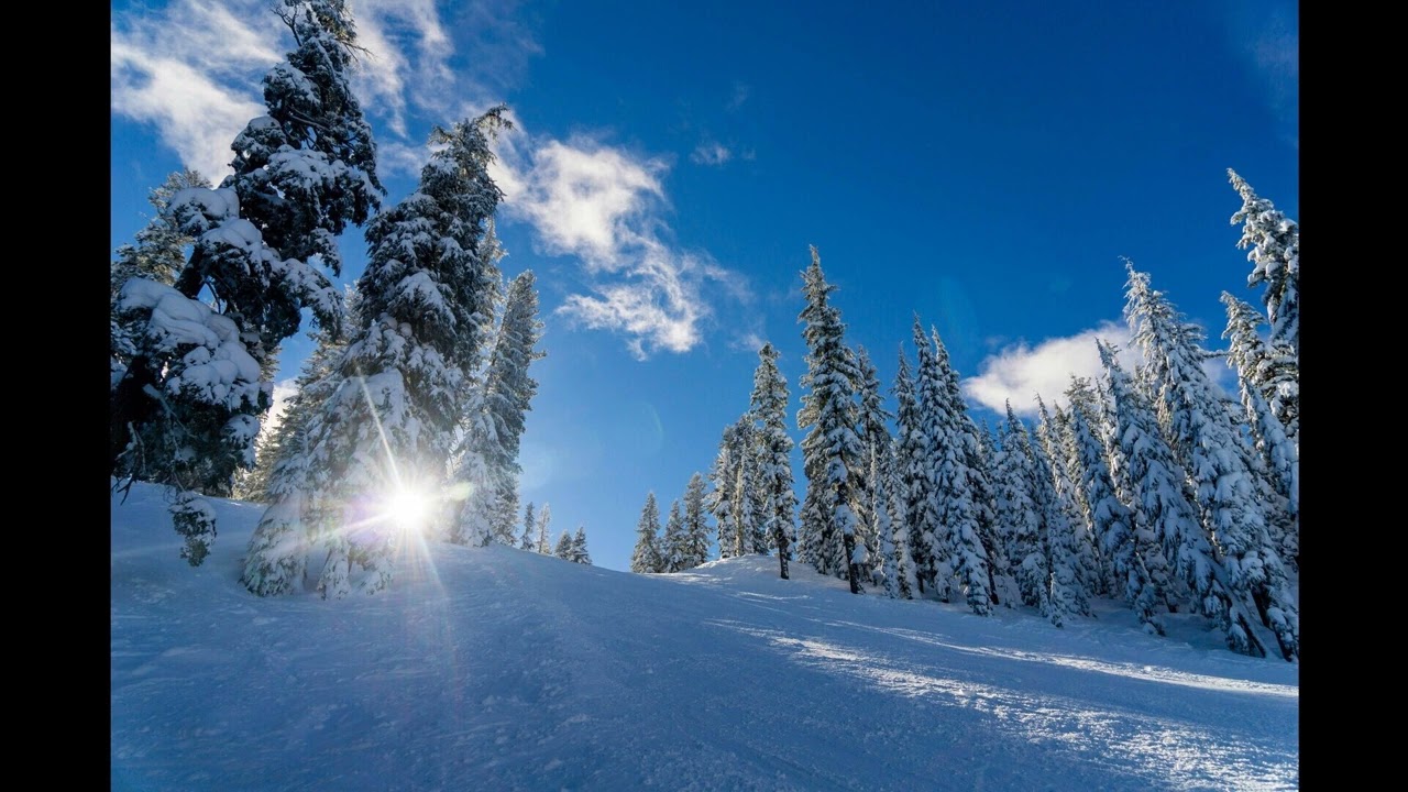 Atki2 - Winter Buds [2007]