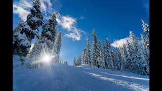 Atki2 - Winter Buds [2007]