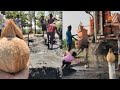 Borewell Drilling 100% Water with Coconut checking Methods # Borewell Drilling 100% water # Borewell