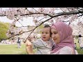 Spring in Japan - Cherry Blossom | Koganei Park and Yomiuriland | Sakura 2021
