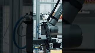 This Is What Automation Should Look Like Rb1200 Palletiser With Omron Tm Cobot