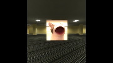 Gmod Pop Cat Nextbot Chase