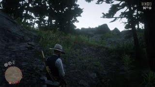 Red Dead Redemption 2 - Something Went Wrong Running Muskie