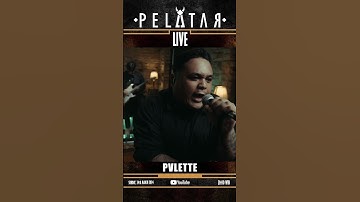 ]Teaser] PVLETTE // PELATAR LIVE