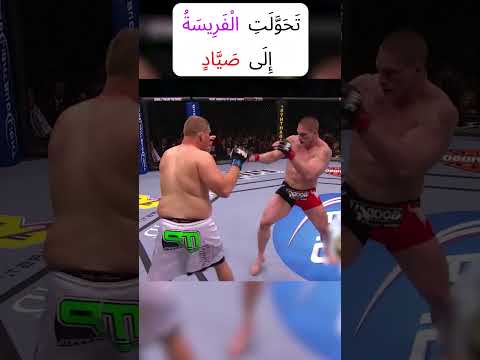 ال م خ ض ر م ت ف و ق ع ل ى ال و ح ش 